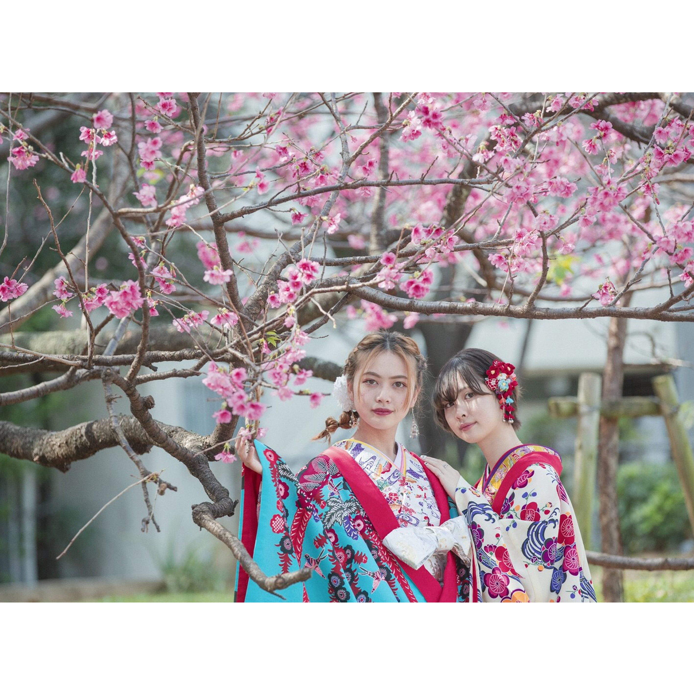 沖縄の桜と一緒に😌🌸
